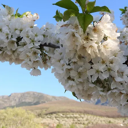 Daire Apartamento Plasencia *