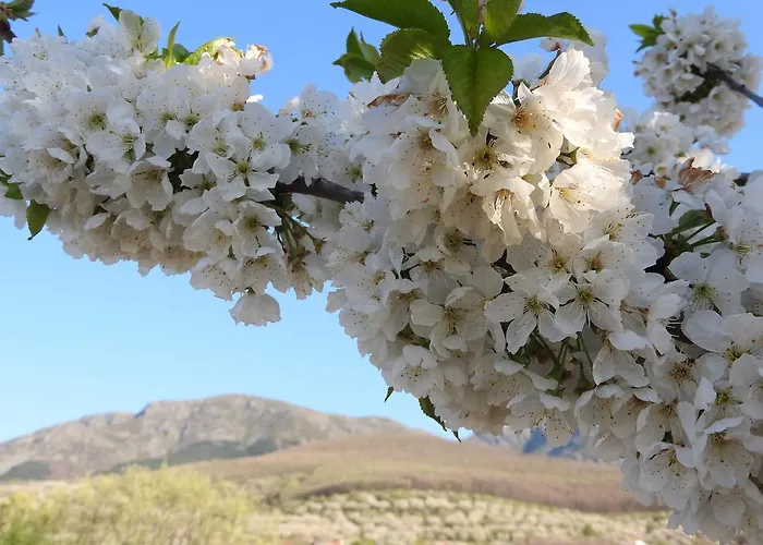 Appartement Apartamento Plasencia *